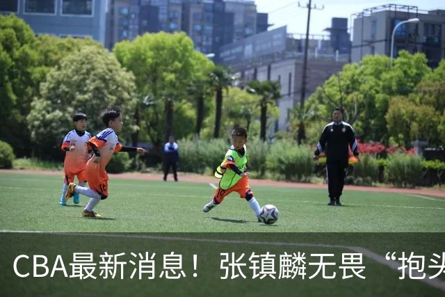 CBA最新消息！张镇麟无畏“抱头哥”称谓，辽宁助教加盟浙江，广厦续约布朗